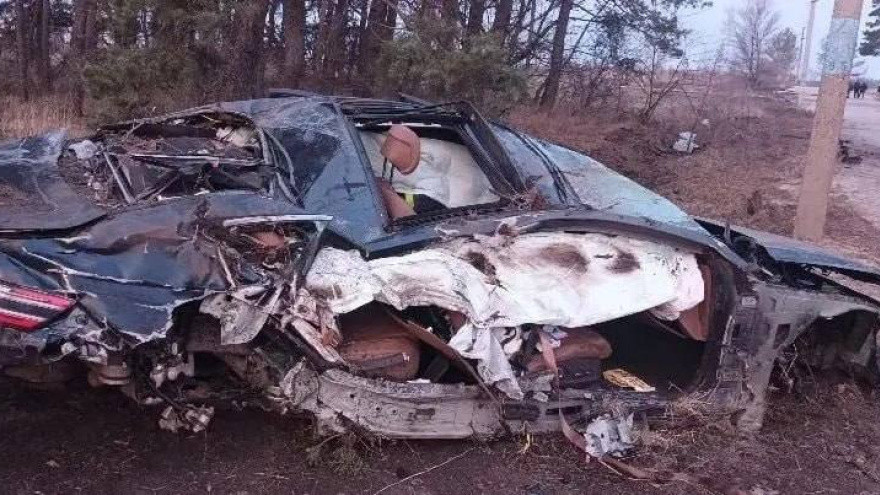 c1600319d304bf9b3d2d11cb48d6dae6 Фото: ГУ МВД по Воронежской области