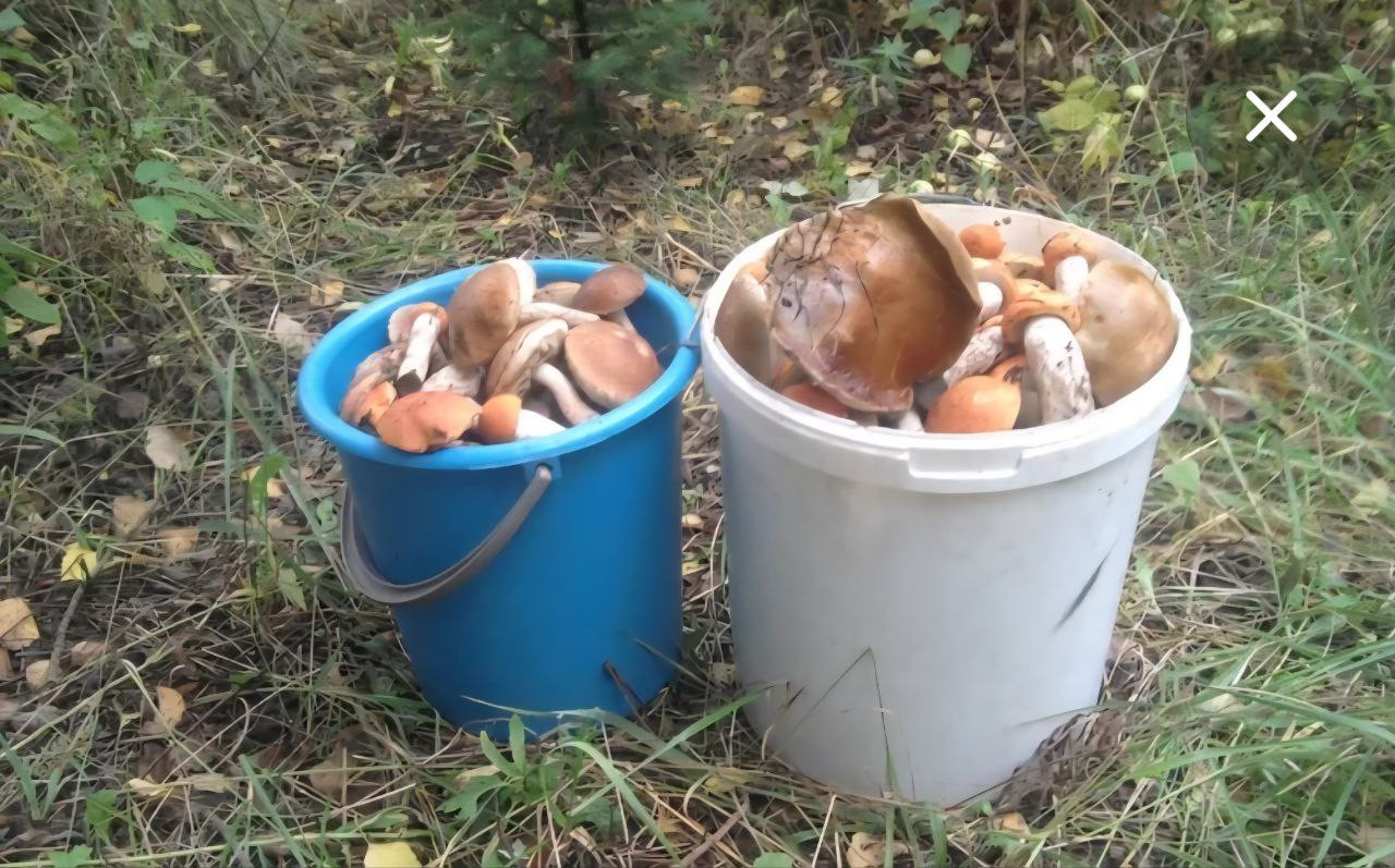 фото ГУ МВД