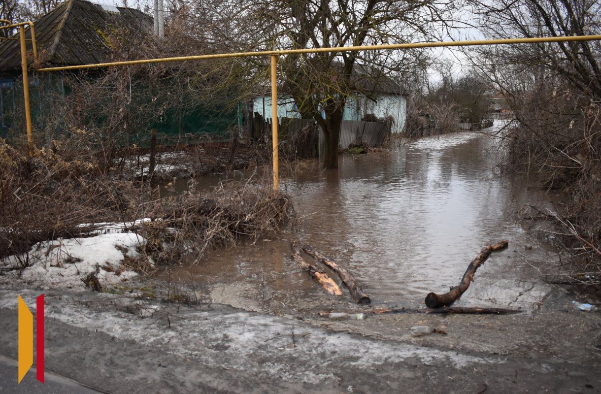 2026-02-16_20-00-34 фото РИА Воронеж