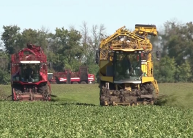 фото Вести Воронеж 2025-10-06_13-00-07