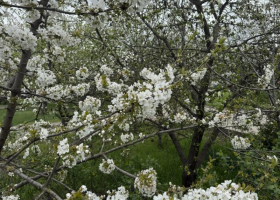 фото: личный архив погода