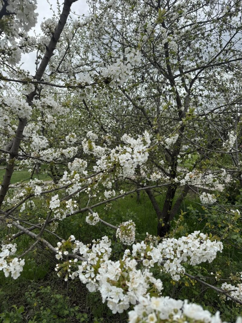 фото: личный архив