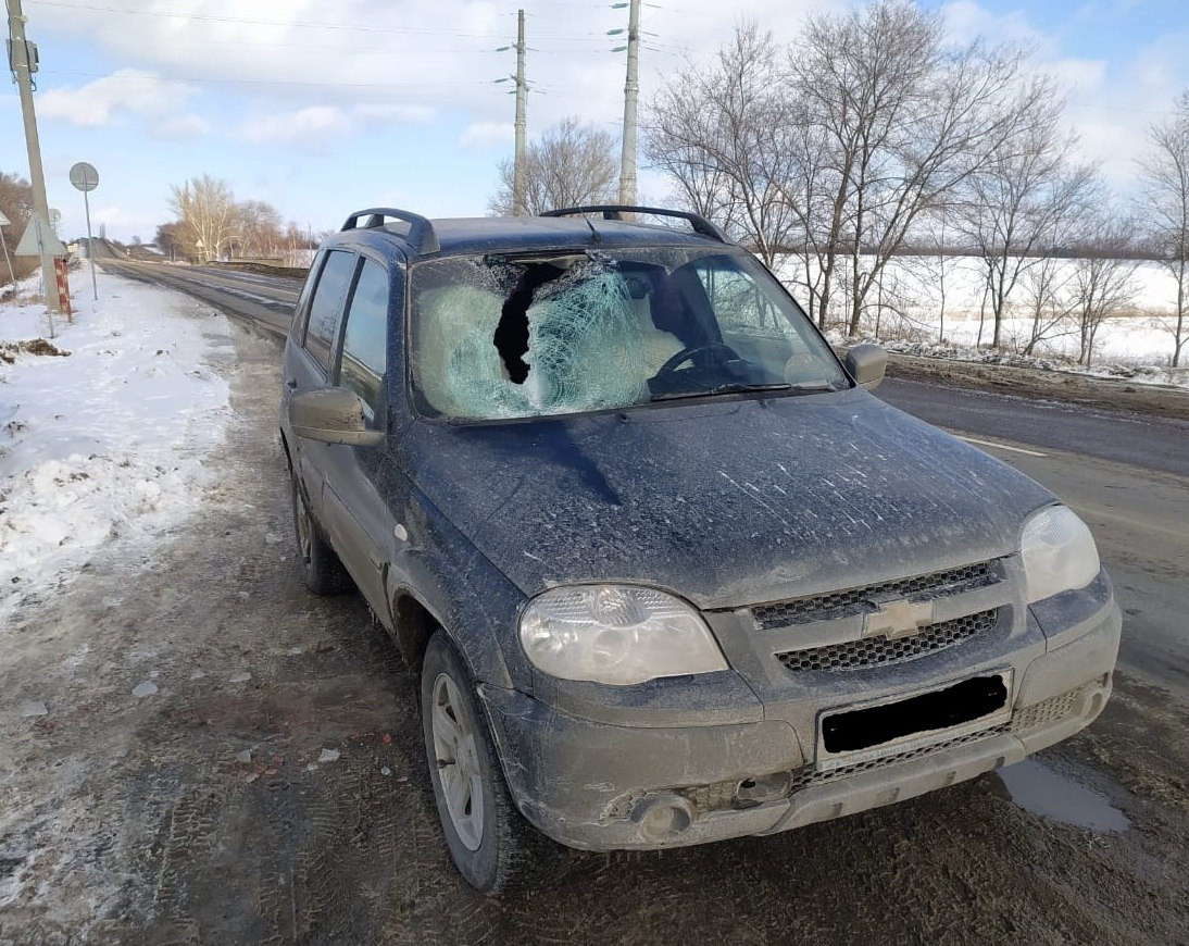 Фото: Полиция Воронежской области 