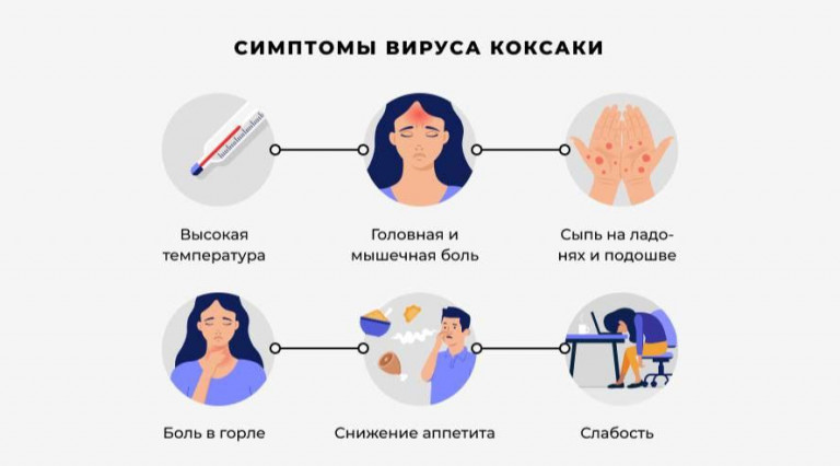 информация Большой Воронежский 5332464604409887080