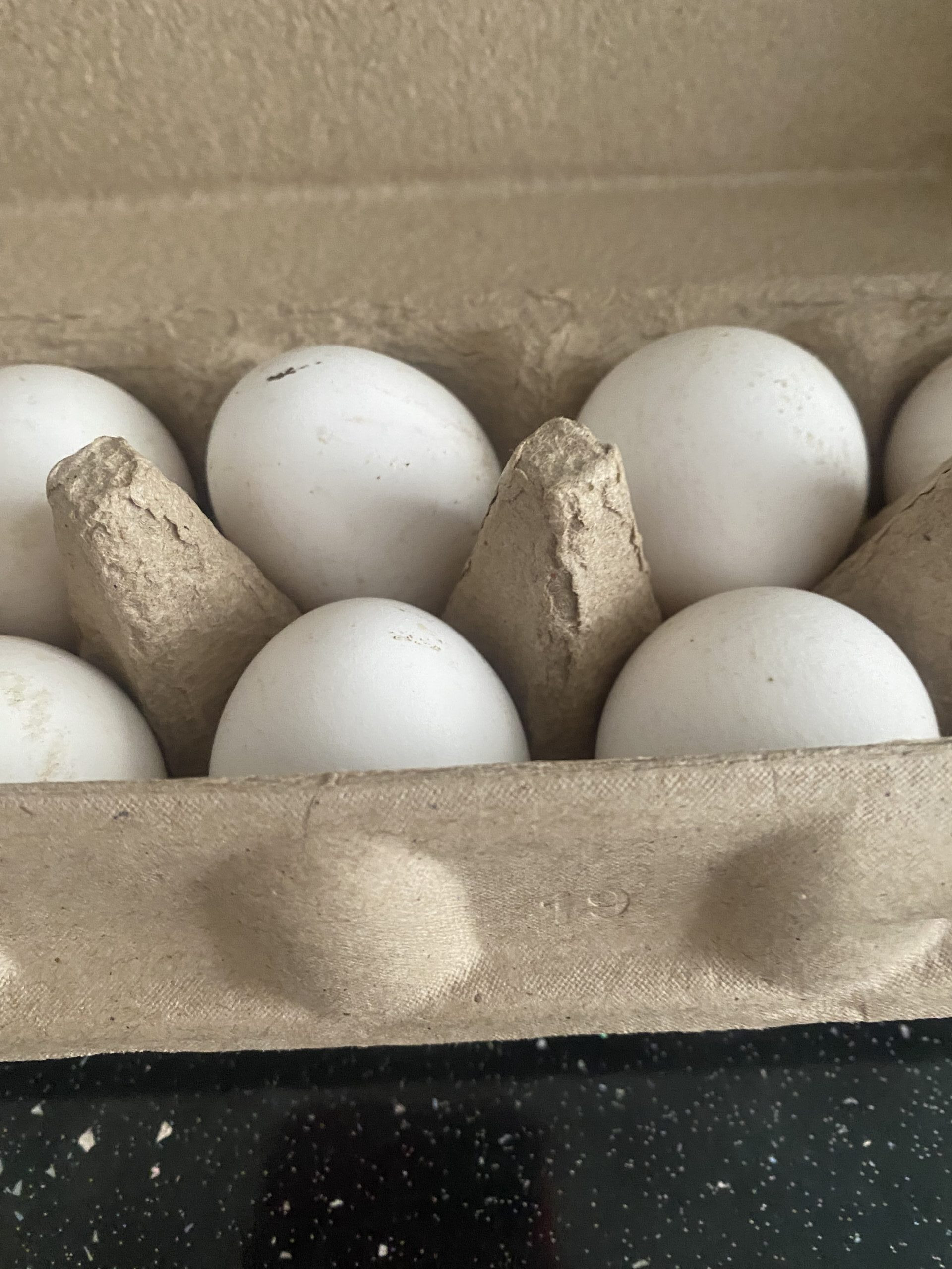 IMG_8647 фото Новости Воронежская область