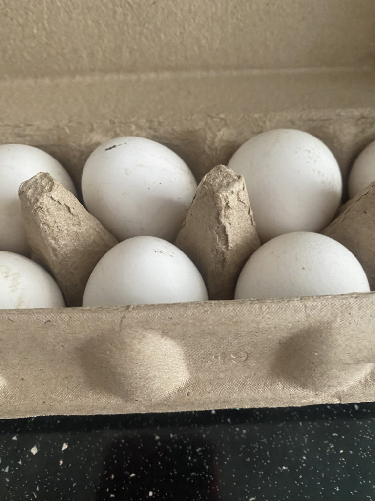 фото Новости Воронежская область IMG_8647