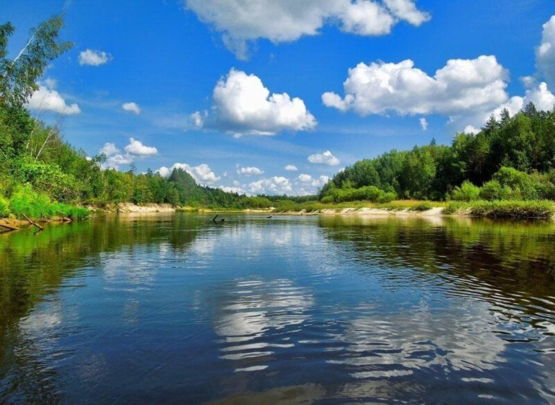 фото: Новости ВО