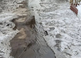 фото соцсети 5246975681273467618