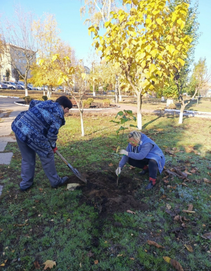 Фото администрации города Россошь IMG_8900