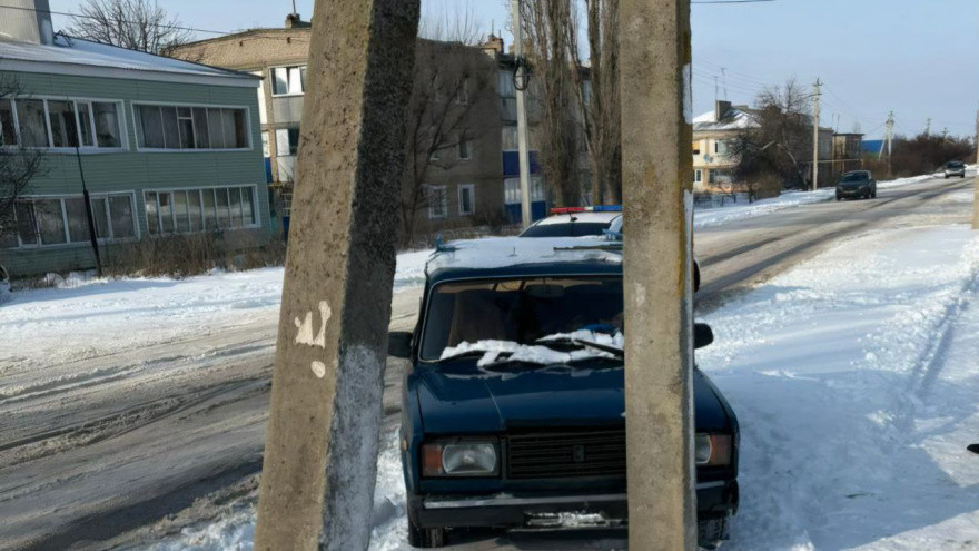 Фото: ГУ МВД по Воронежской области