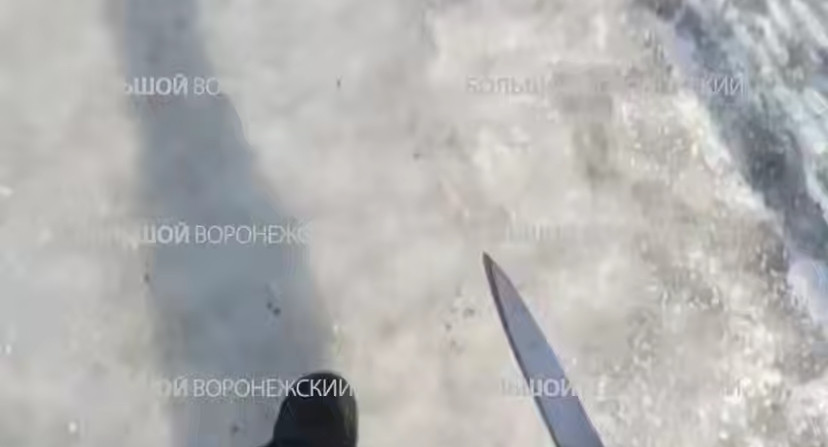 Фото Вести Воронеж 