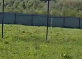 88070613-97cf-4dcc-b8c4-03d13bfa537b