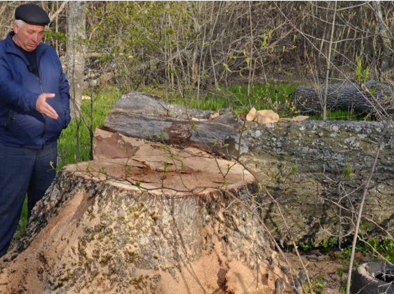 Фото: Вести Воронеж