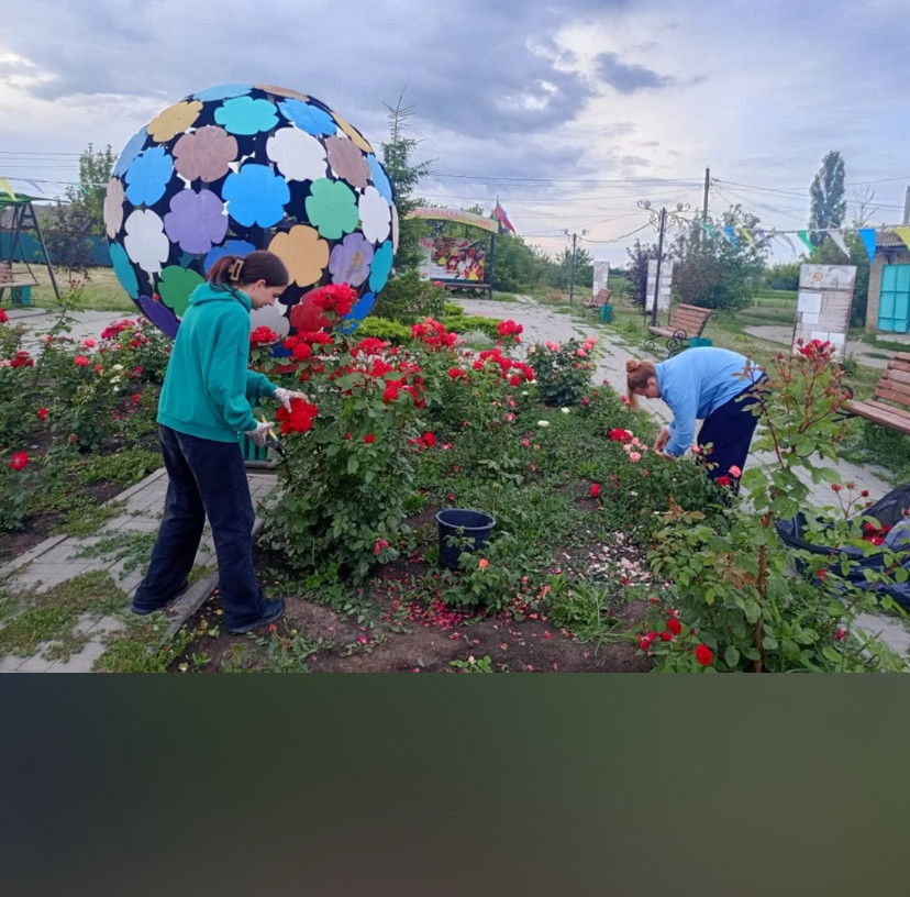 Фото ТОС Анцелович 