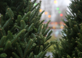 фото администрация Россошанского района 2025-12-10_16-48-13