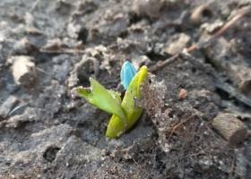 фото соцсети 2026-03-01_19-34-22