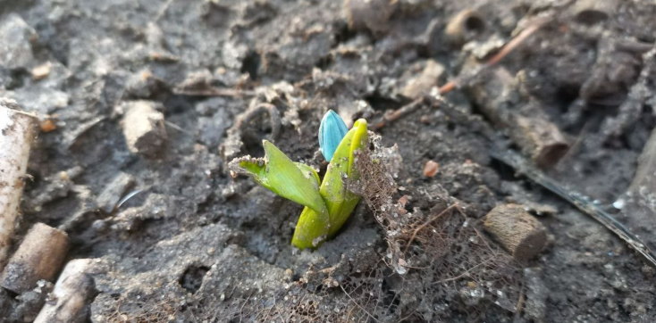 2026-03-01_19-34-22 фото соцсети