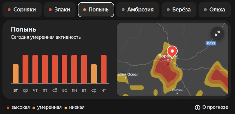 фото ВЕСТИ ВОРОНЕЖ