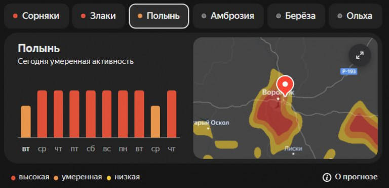 фото ВЕСТИ ВОРОНЕЖ 5433623591175451928