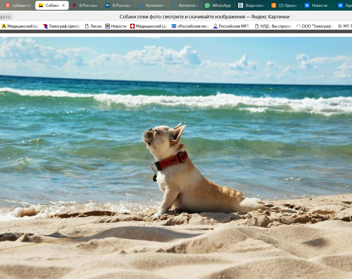 фото magmer.ru