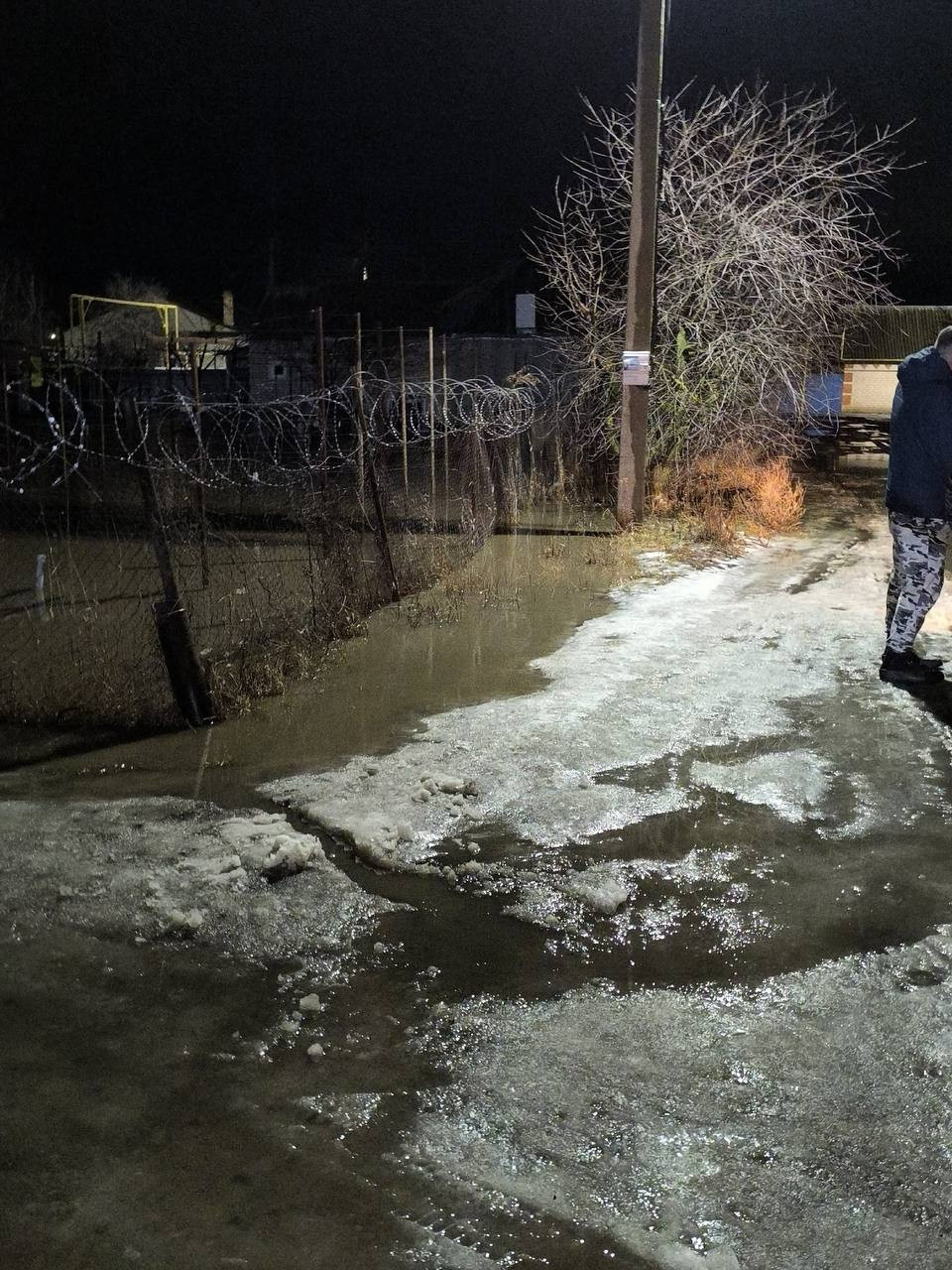 фото жителей Россоши в соцсетях