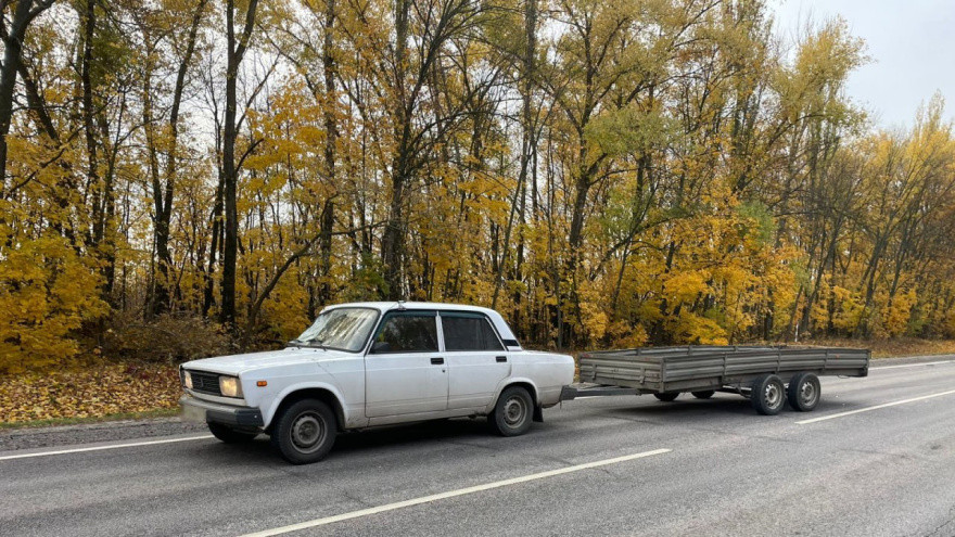 Фото: МВД по Воронежской области