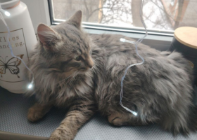 Фото: Предоставлено Екатериной 2026-02-27_15-40-46