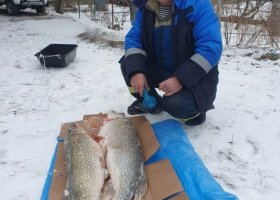 Фото соцсети IMG_9564