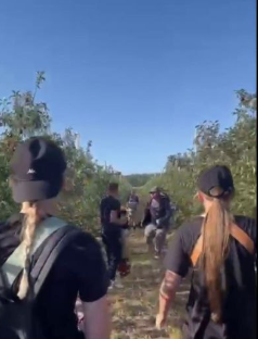 скрин видео Вести Воронеж