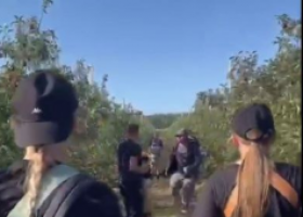 скрин видео Вести Воронеж 2025-09-24_15-44-39