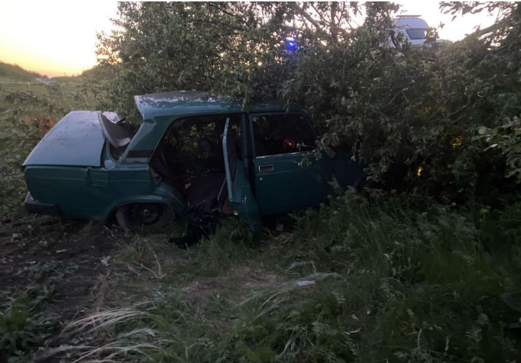 фото ГУ МВД