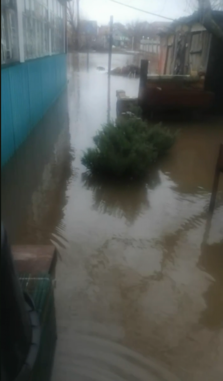 фото соцсети 2026-02-16_12-20-25