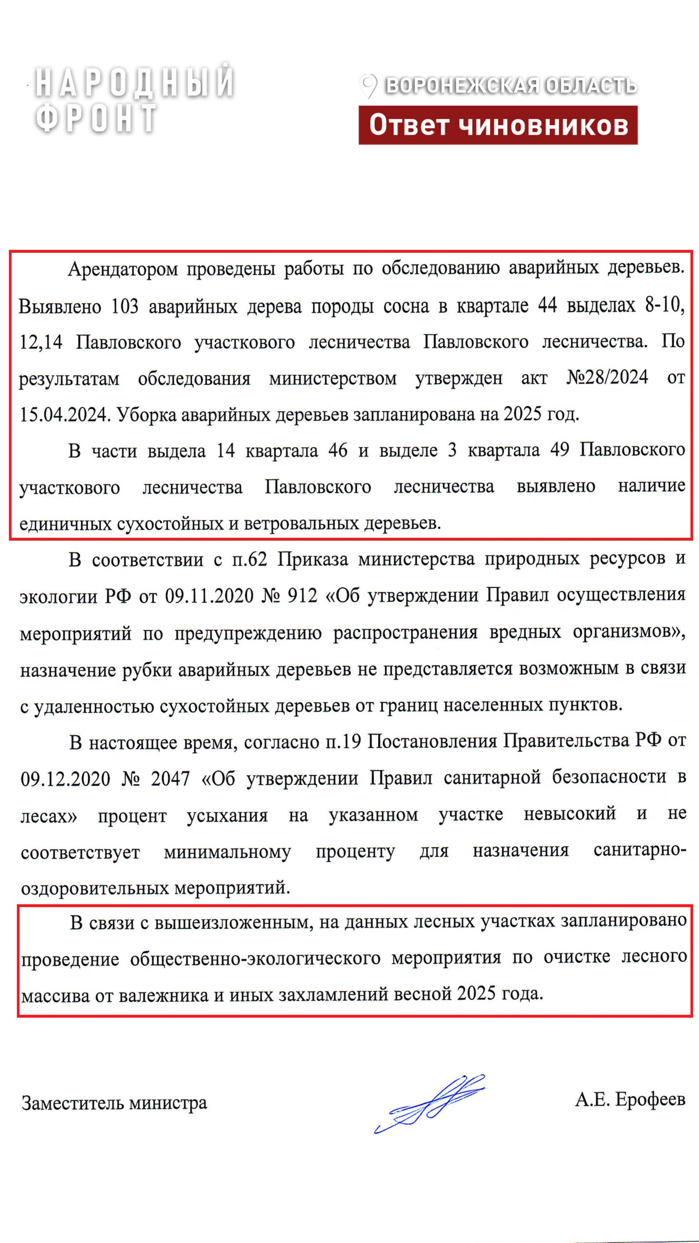 фото Народный фронт