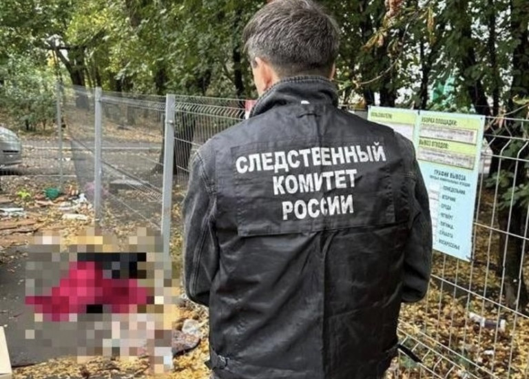 Фото: СУ СК по Воронежской области Screenshot