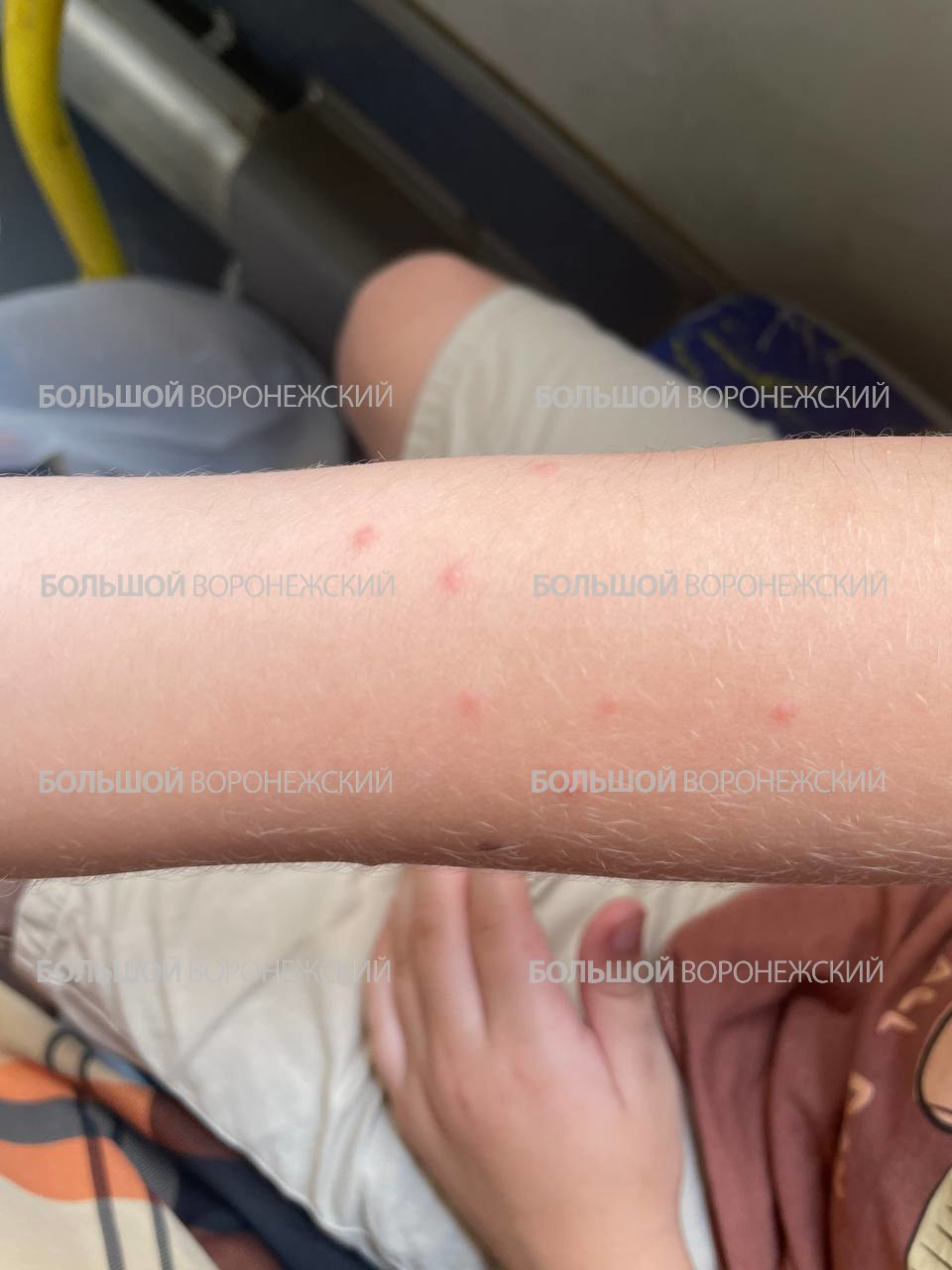 Фото Большой Воронежский