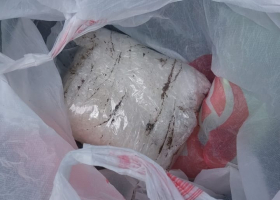 Фото ГУ МВД  IMG_7417