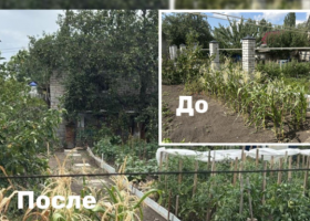 Фото: УФССП по Воронежской области 2025-08-08_20-18-36