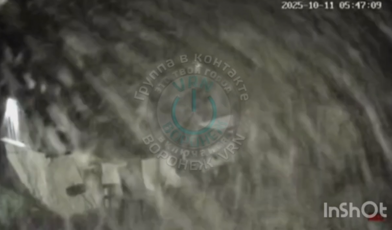 скрин Видео: телеграм-канал «Воронеж VRN» 2025-10-11_12-09-17