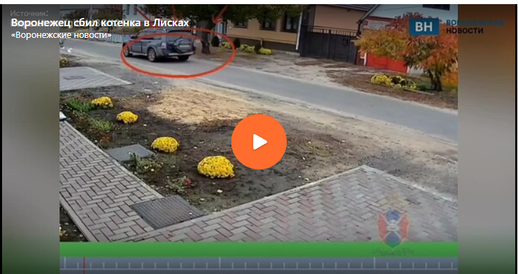 2025-11-07_19-47-20 фото ВН