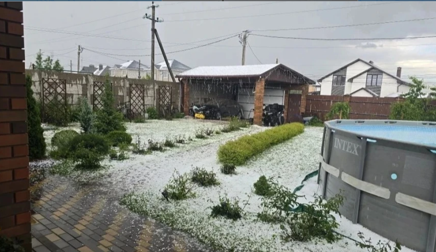 фото Вести Воронеж