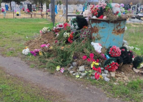 фото читателя Новости-Воронежская область image