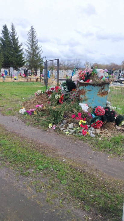 фото читателя Новости-Воронежская область image