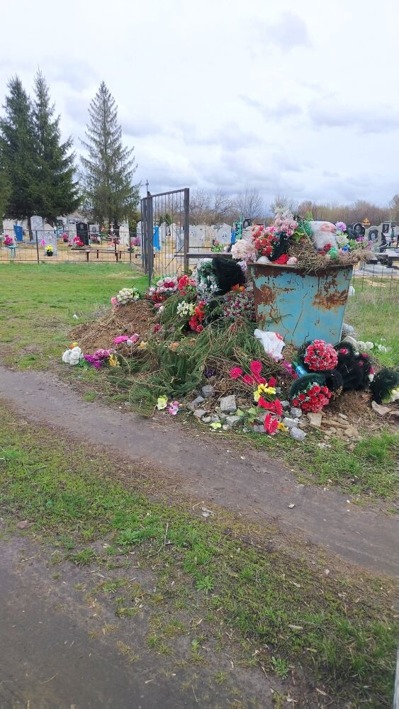 фото читателя Новости-Воронежская область 