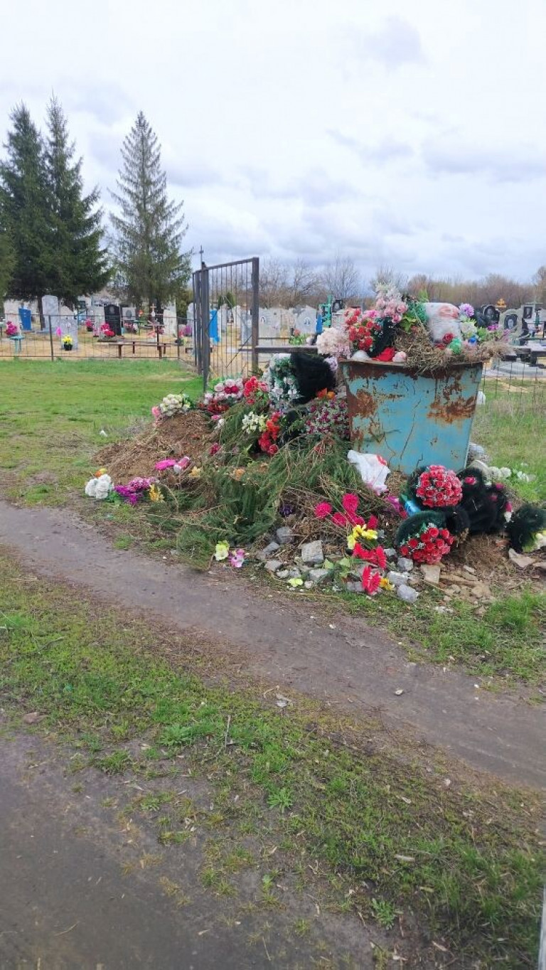 фото читателя Новости-Воронежская область image