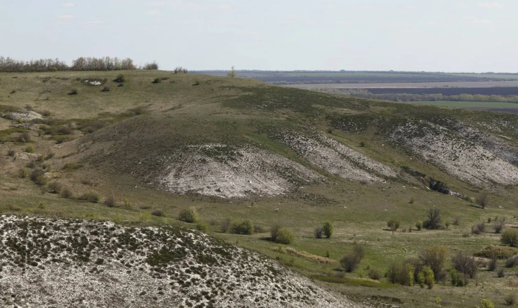 фото Правительство Воронежской области 