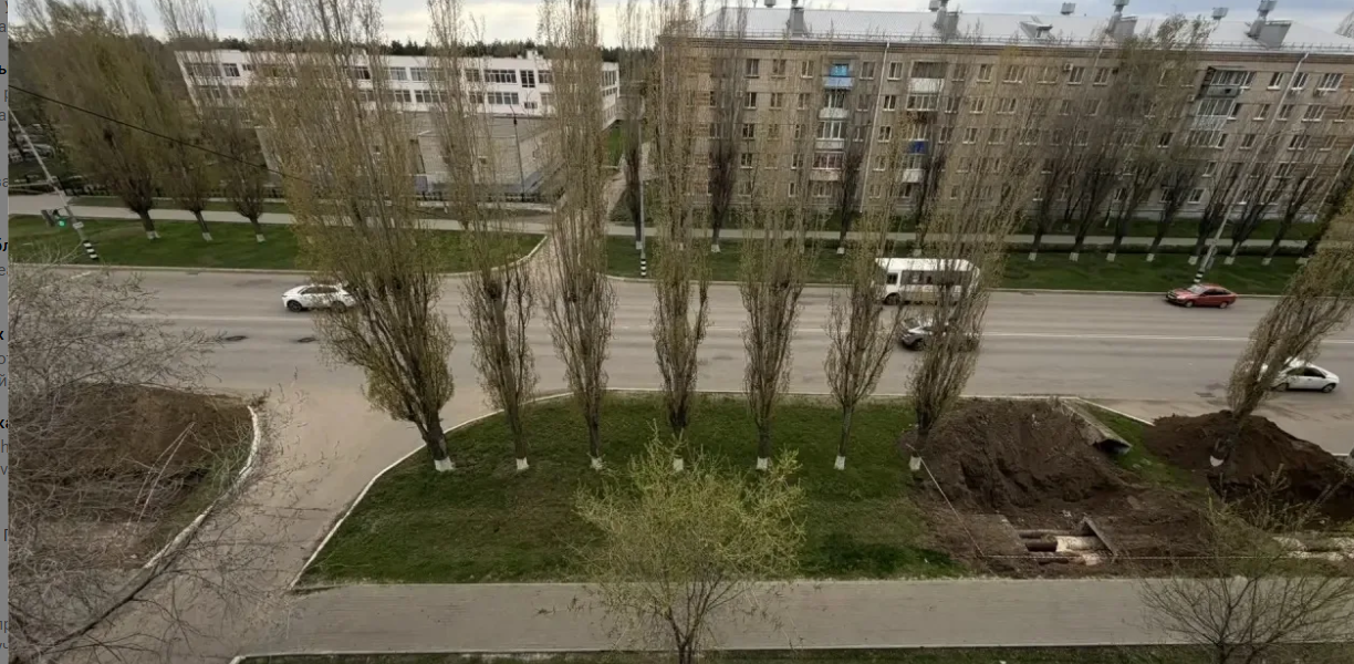 фото соцсети 