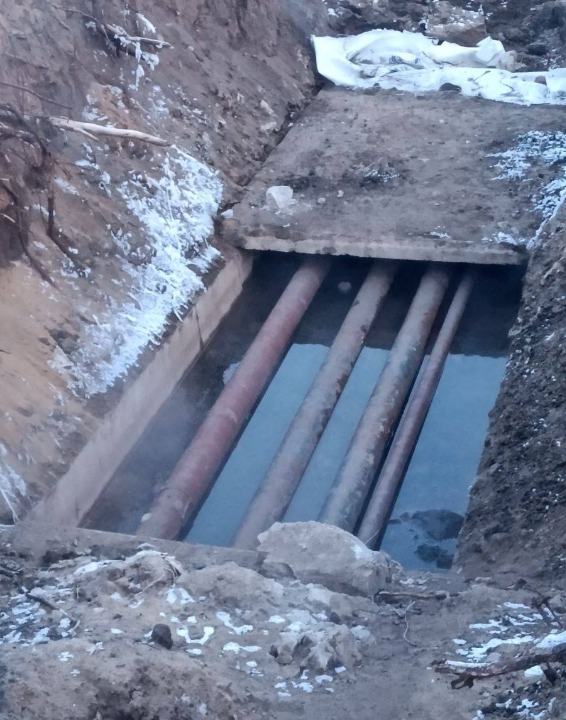 фото соцсети 