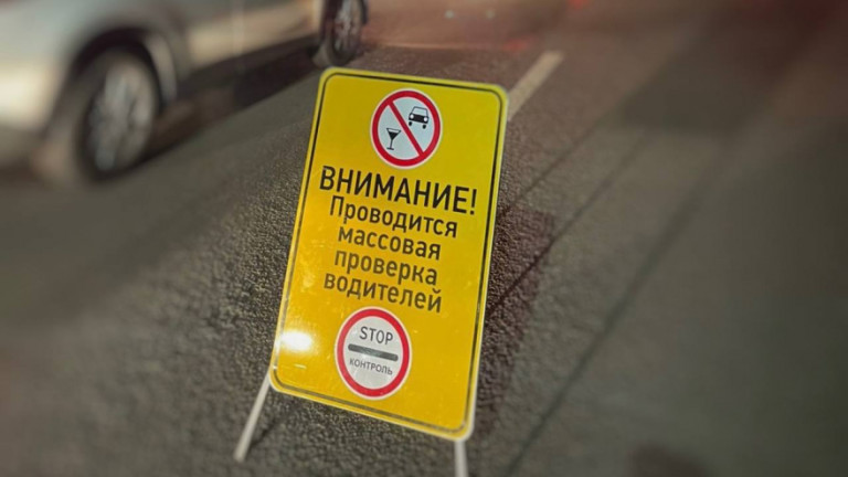 Фото: Госавтоинспекция Воронежской области cb5d5022a1eb4d8d82bc2bcbf2ac9f86