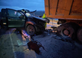 7b3b8121-af4f-4c8f-bfc4-d5afbb8688ed