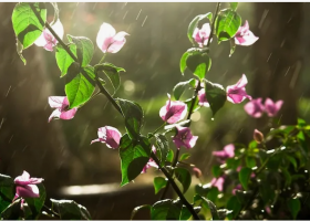 фото: ru.freepik.com погода